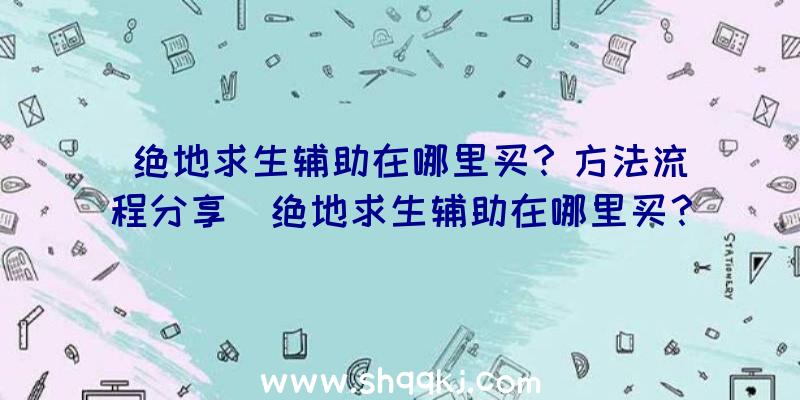 绝地求生辅助在哪里买？方法流程分享（绝地求生辅助在哪里买？）